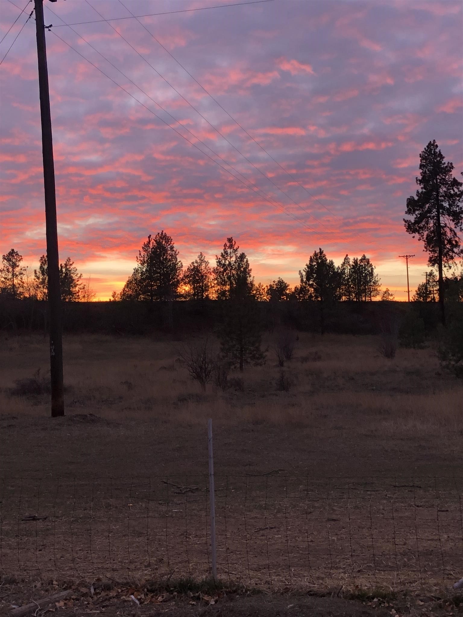 3117 North Old Trails Road Spokane, WA 99224 - Photo 3 of 48