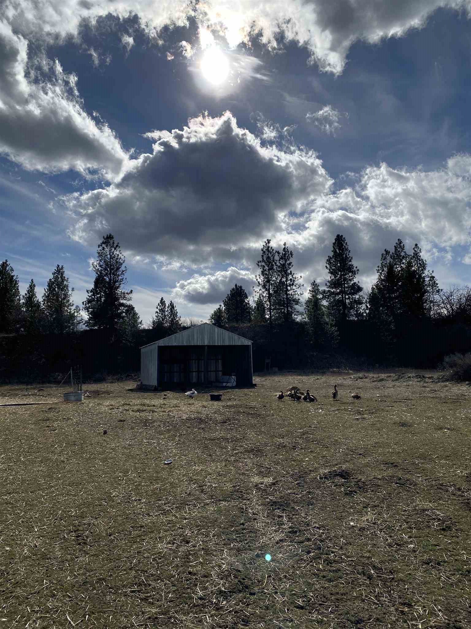 3117 North Old Trails Road Spokane, WA 99224 - Photo 42 of 48