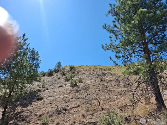 a view of a field with a tree in the background