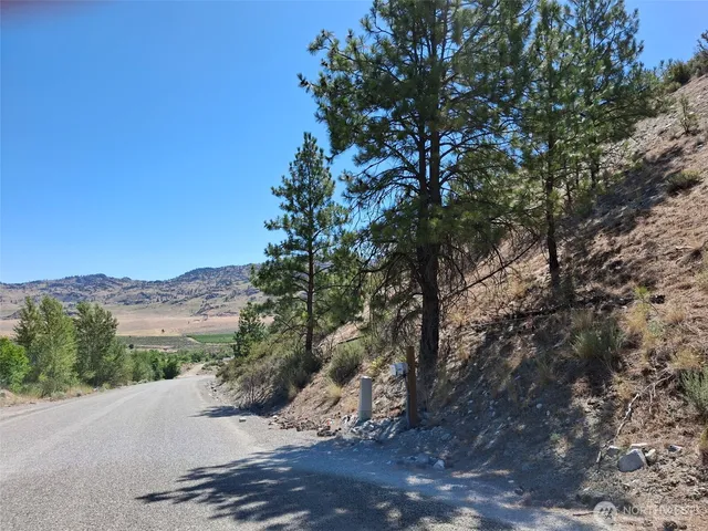 a view of a road with a tree in the background