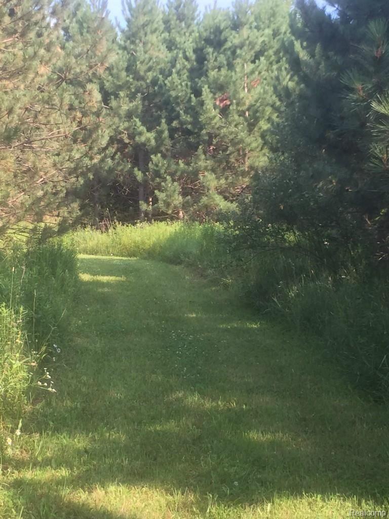 3850 West Oregon Road Lapeer, MI 48446 - Photo 81 of 94 Hike, jog or pedal on one of the many trails.