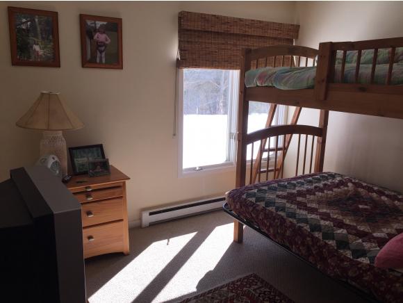 49 Styles Branch Road, Unit 901 Stratton, VT 05155 - Photo 23 of 26