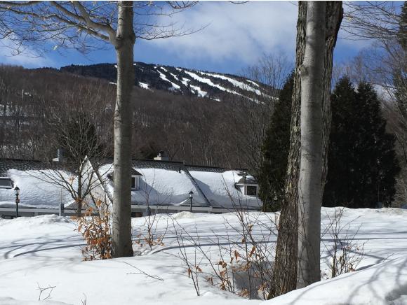 49 Styles Branch Road, Unit 901 Stratton, VT 05155 - Photo 25 of 26