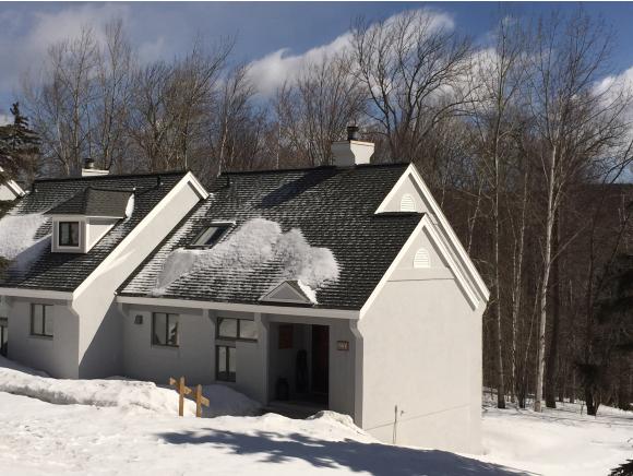 49 Styles Branch Road, Unit 901 Stratton, VT 05155 - Photo 4 of 26