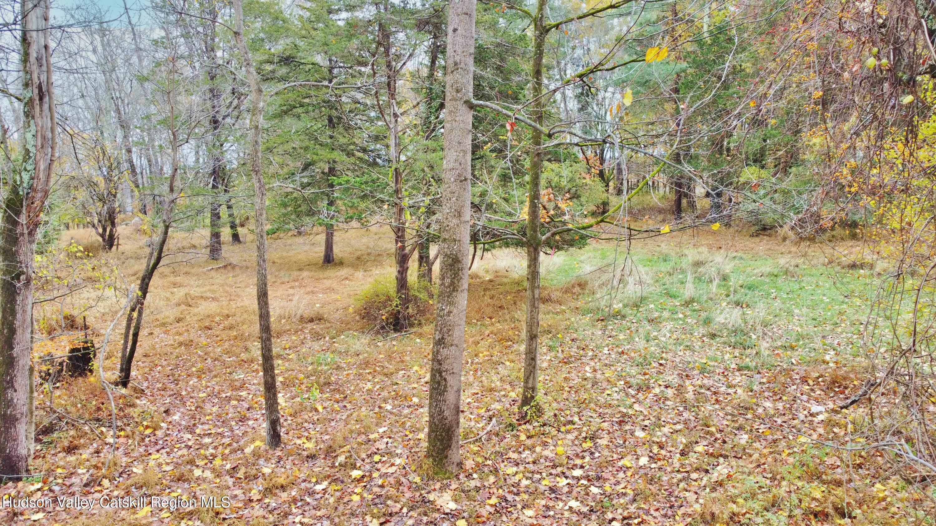 155 Mill Dam Road Stone Ridge, NY 12484 - Photo 11 of 16 a view of a yard