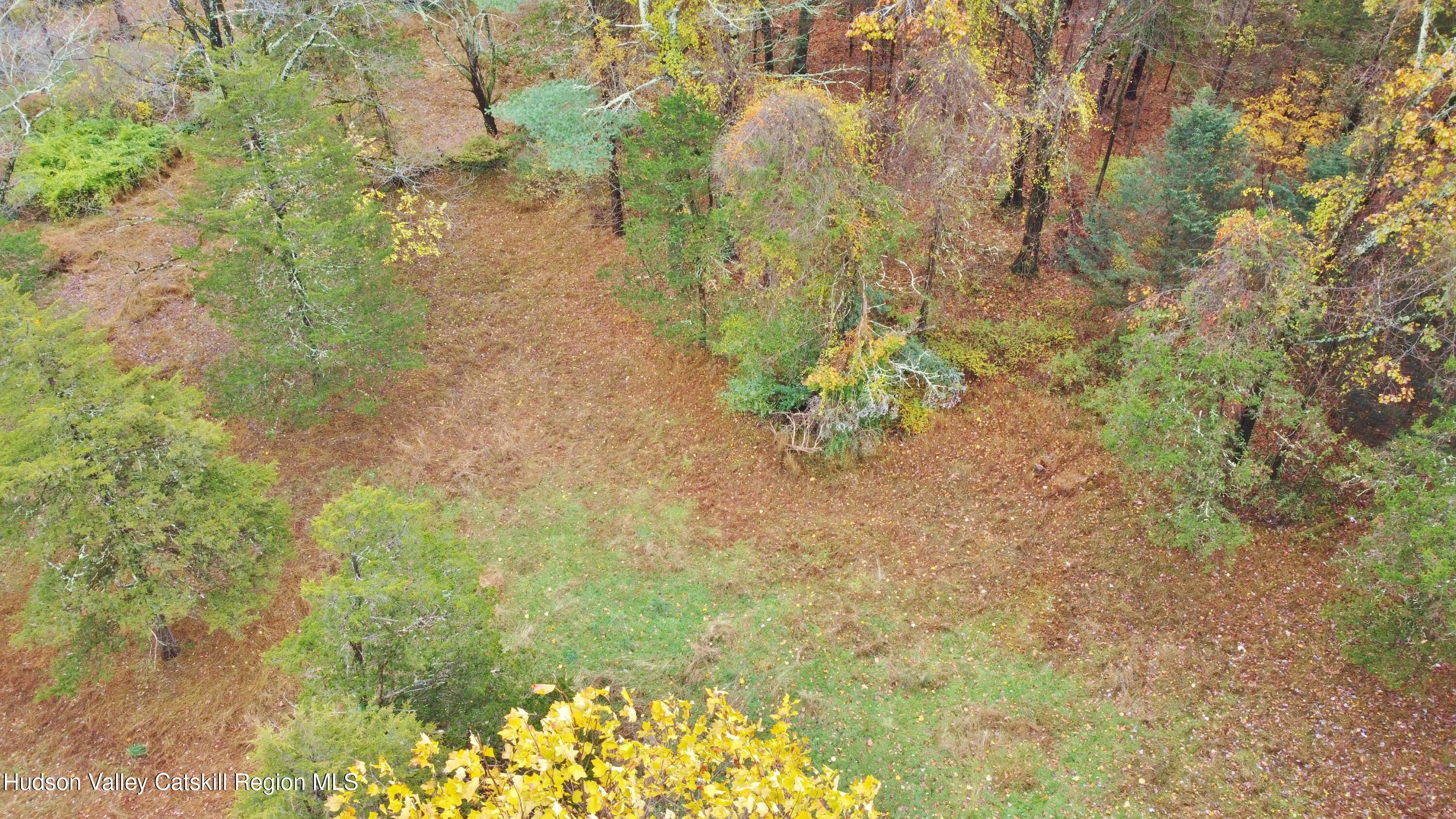 155 Mill Dam Road Stone Ridge, NY 12484 - Photo 12 of 16 a view of a yard with trees