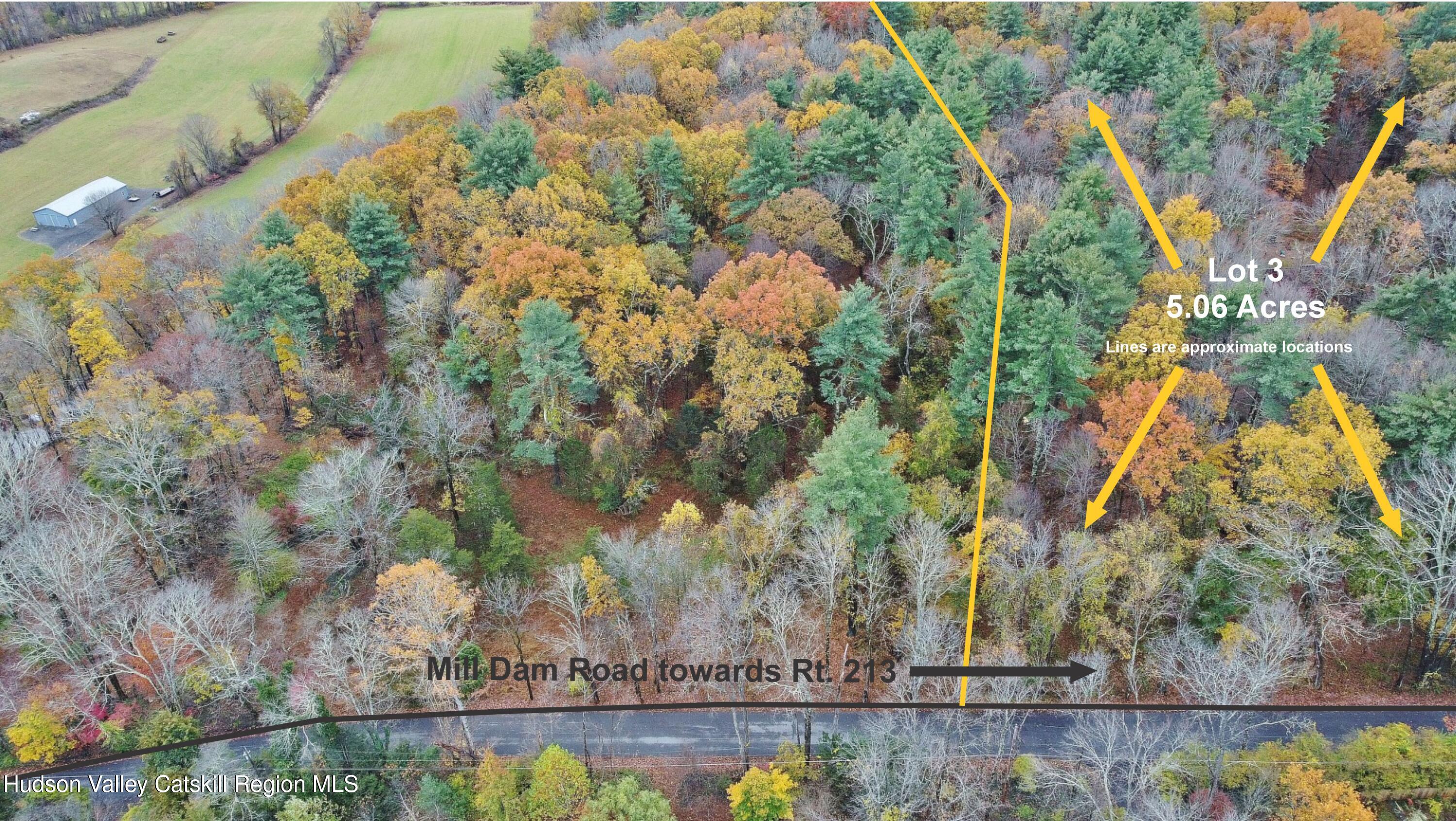 155 Mill Dam Road Stone Ridge, NY 12484 - Photo 13 of 16 a view of a yard with plants and wooden fence