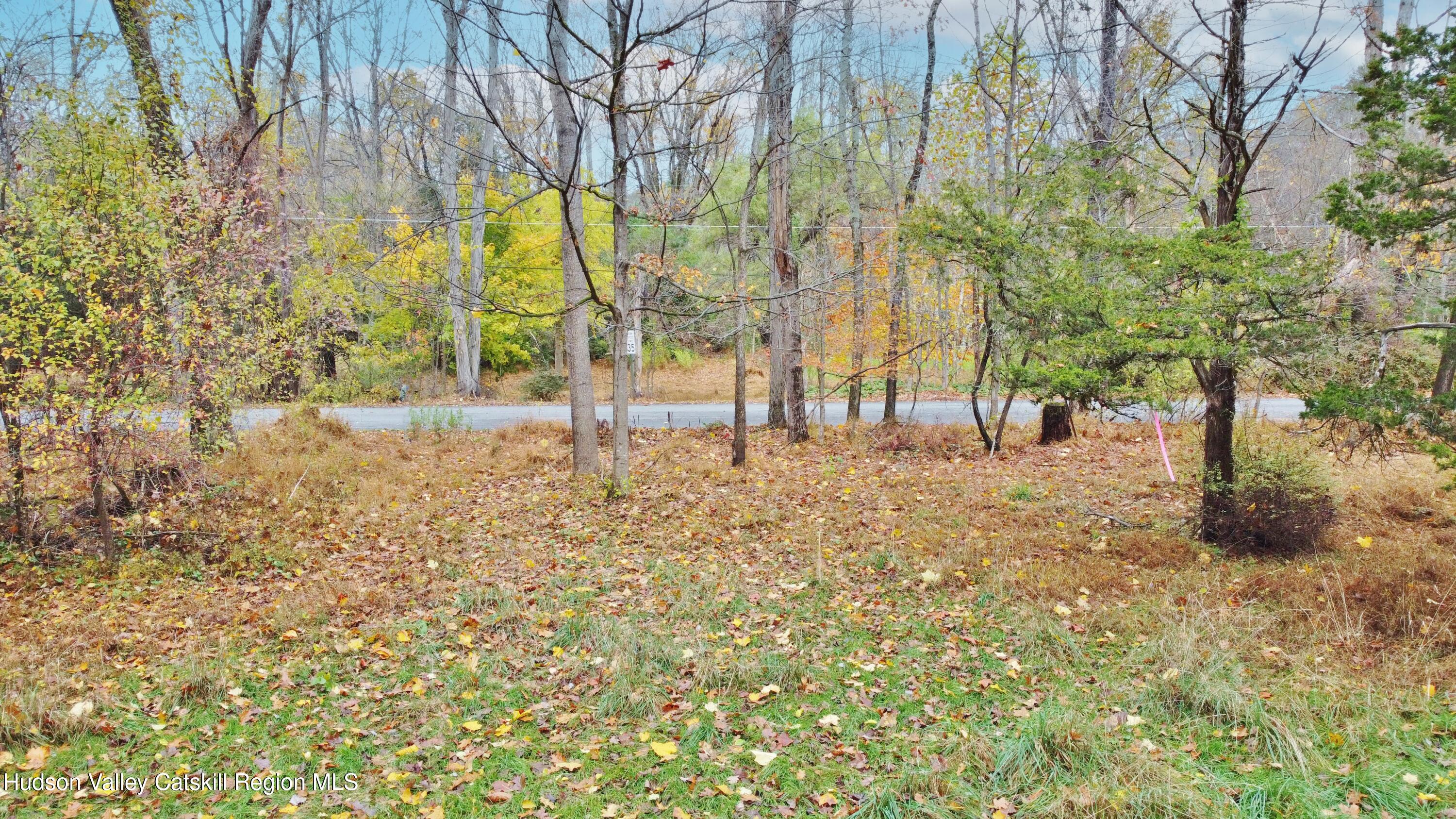 155 Mill Dam Road Stone Ridge, NY 12484 - Photo 3 of 16 a view of yard