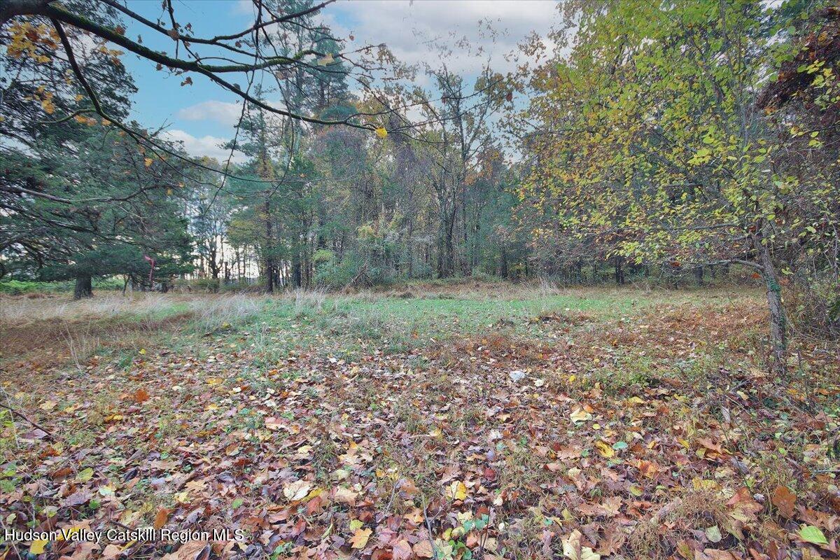 155 Mill Dam Road Stone Ridge, NY 12484 - Photo 4 of 16