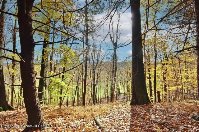 $250,000 | 155 Mill Dam Road, Stone Ridge, NY 12484