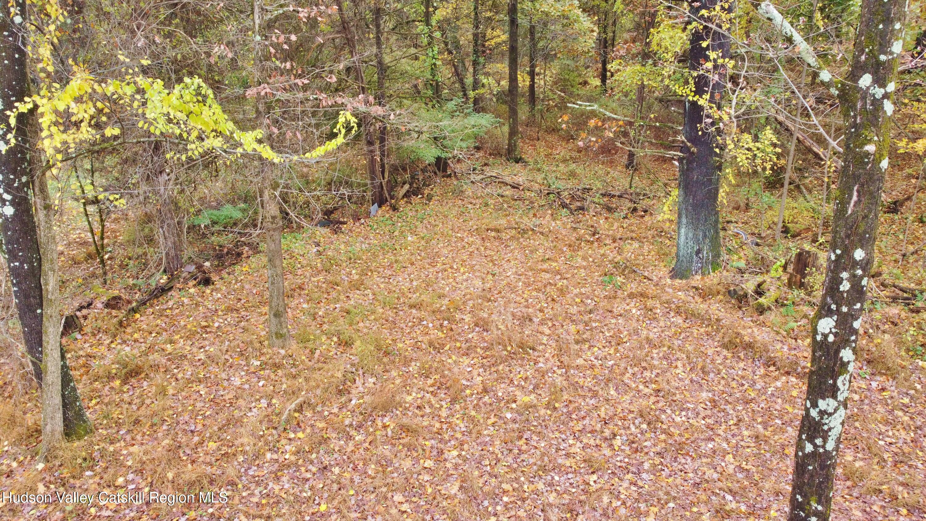 155 Mill Dam Road Stone Ridge, NY 12484 - Photo 6 of 16 a view of a yard with trees