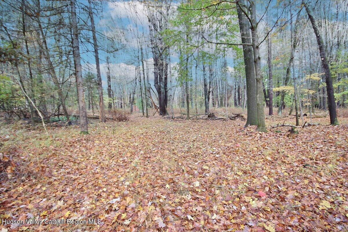 155 Mill Dam Road Stone Ridge, NY 12484 - Photo 7 of 16 a backyard of a house with lots of green space