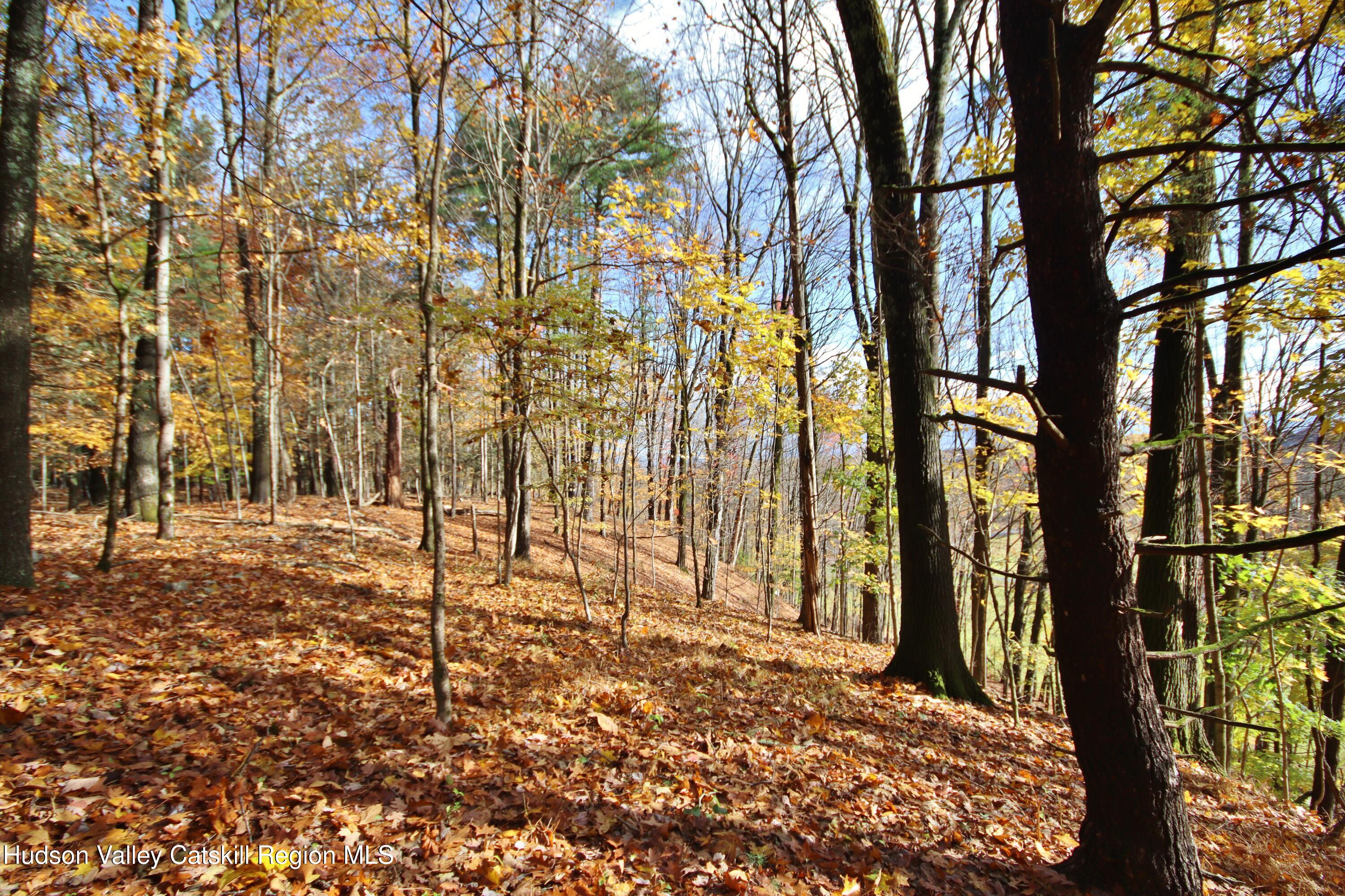 155 Mill Dam Road Stone Ridge, NY 12484 - Photo 8 of 16 a backyard of a house with lots of green space
