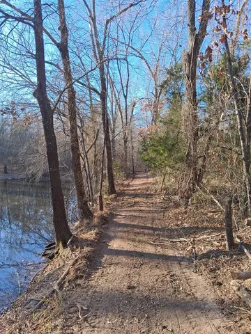 a view of a yard with trees
