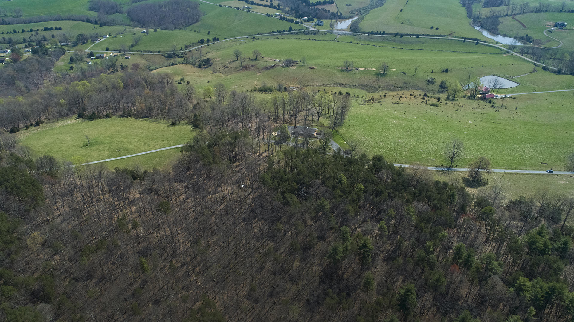 2080 Goodview Town Road, Unit 2082 Goodview, VA 24095 - Photo 50 of 96 a view of a green field with lots of bushes