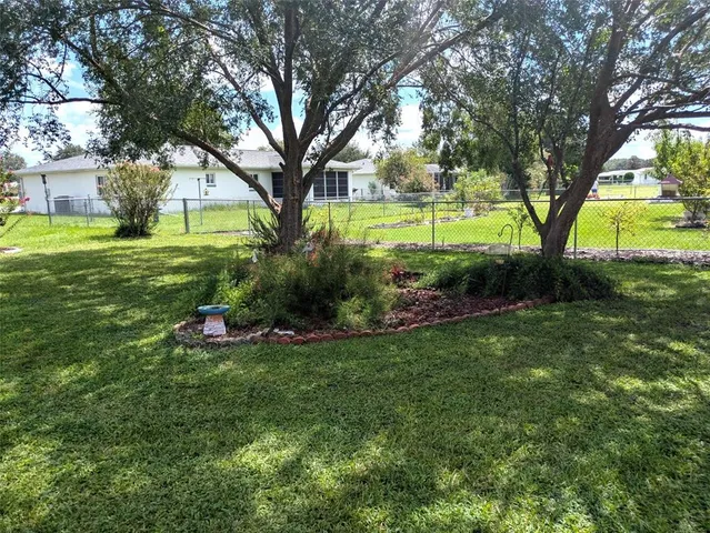 a view of a garden with trees