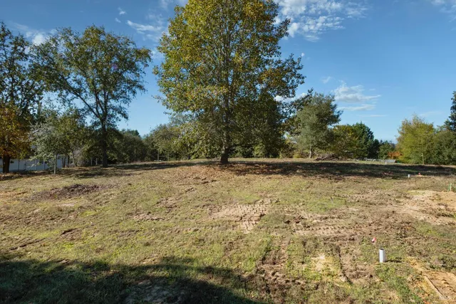 a view of a yard with a tree