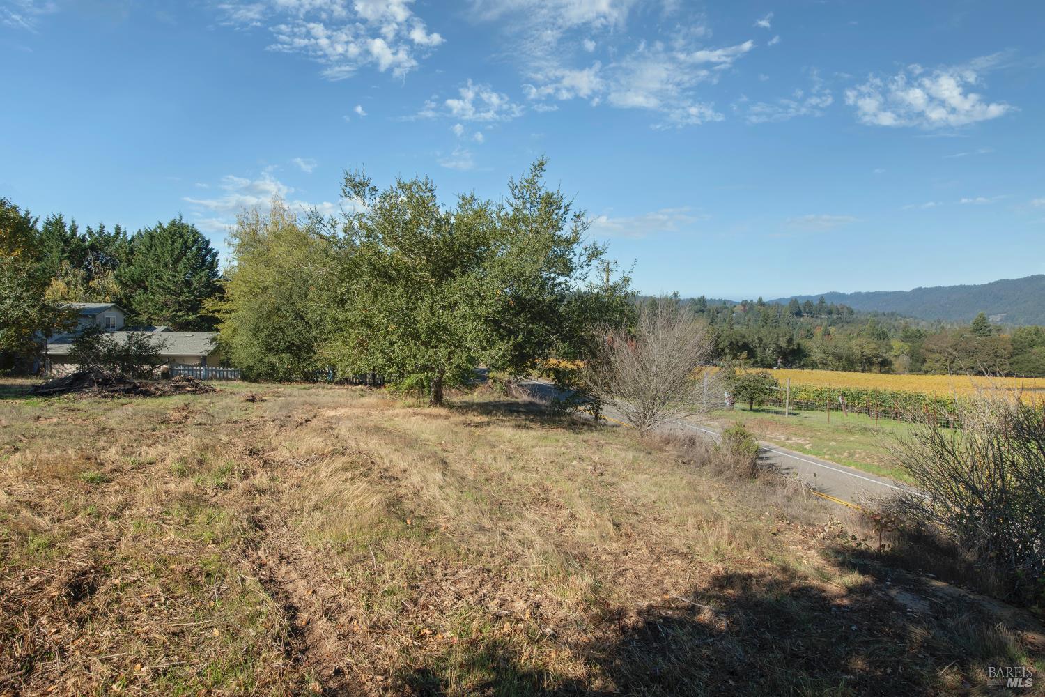 0 Covey & Davis Road Forestville, CA 95436 - Photo 12 of 19 a view of a yard with a tree