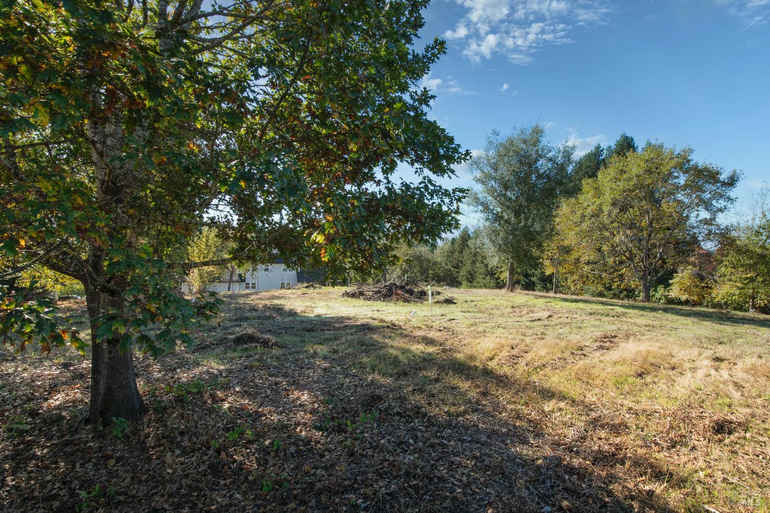0 Covey & Davis Road Forestville, CA 95436 - Photo 13 of 19 a view of a yard with trees