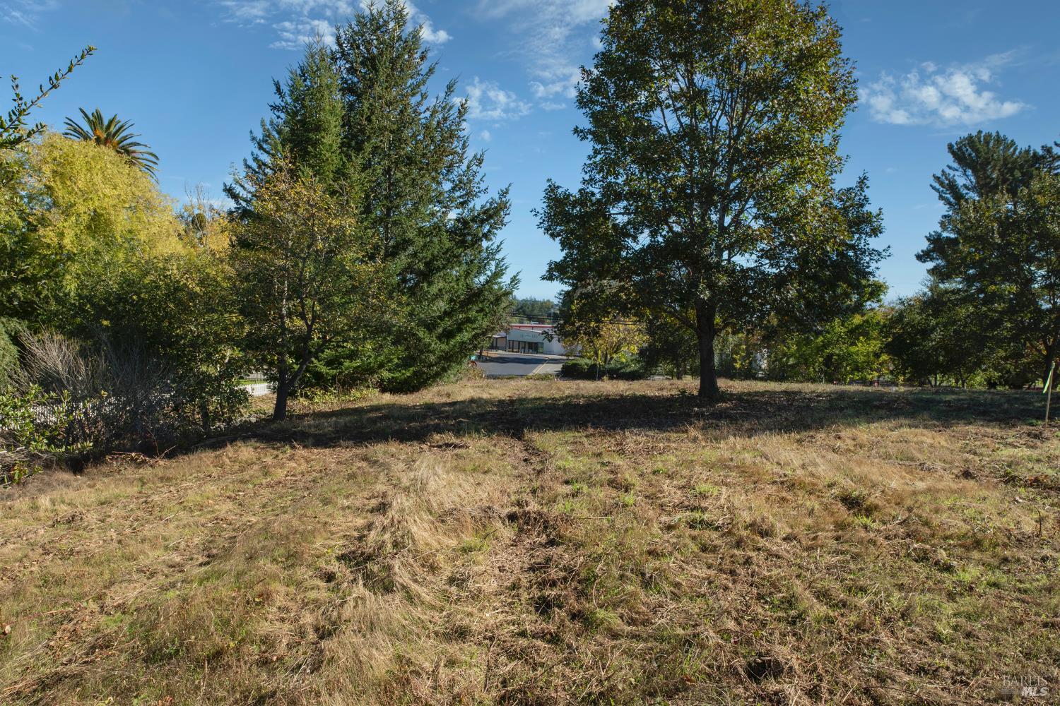 0 Covey & Davis Road Forestville, CA 95436 - Photo 14 of 19 a view of backyard with green space