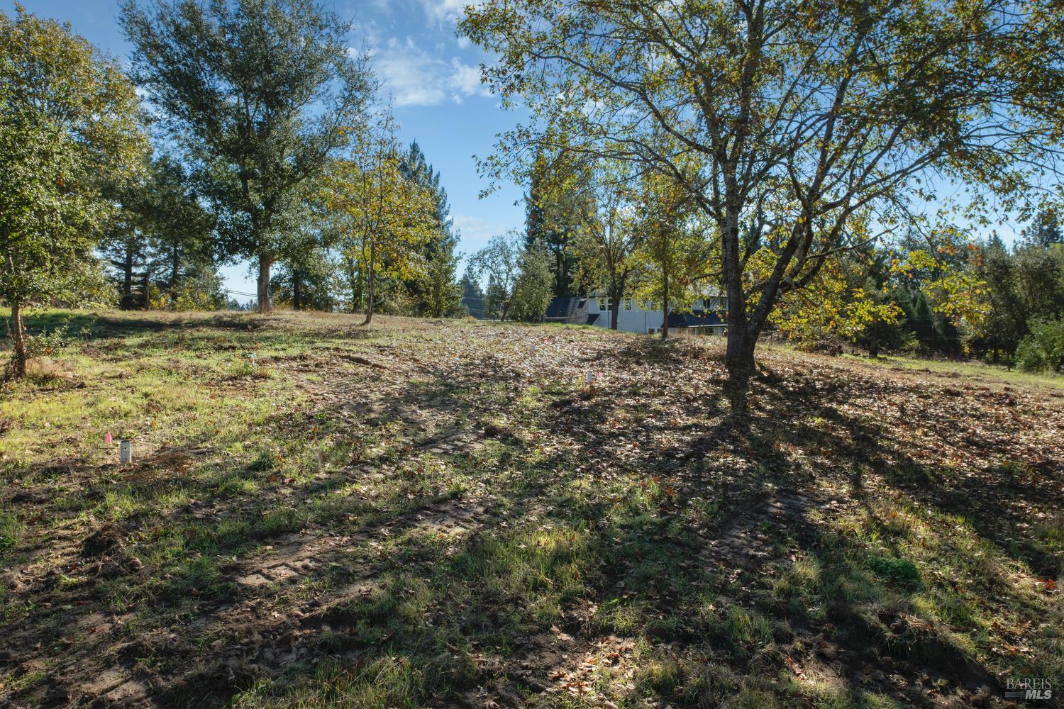 0 Covey & Davis Road Forestville, CA 95436 - Photo 15 of 19 a view of a yard with large trees