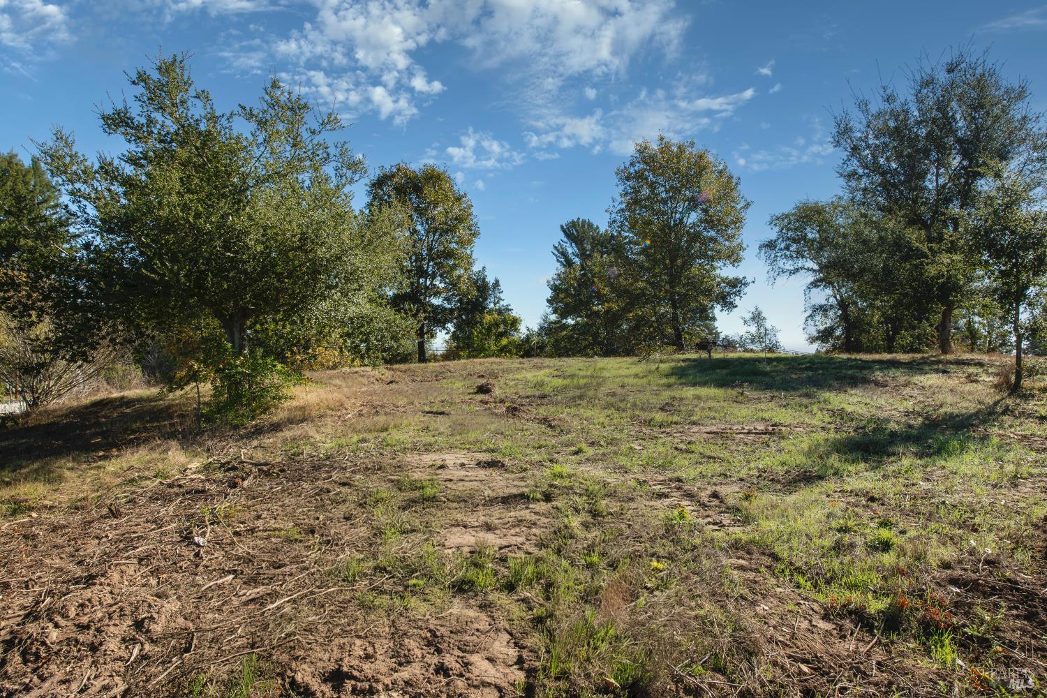 0 Covey & Davis Road Forestville, CA 95436 - Photo 16 of 19 a view of outdoor space with trees all around