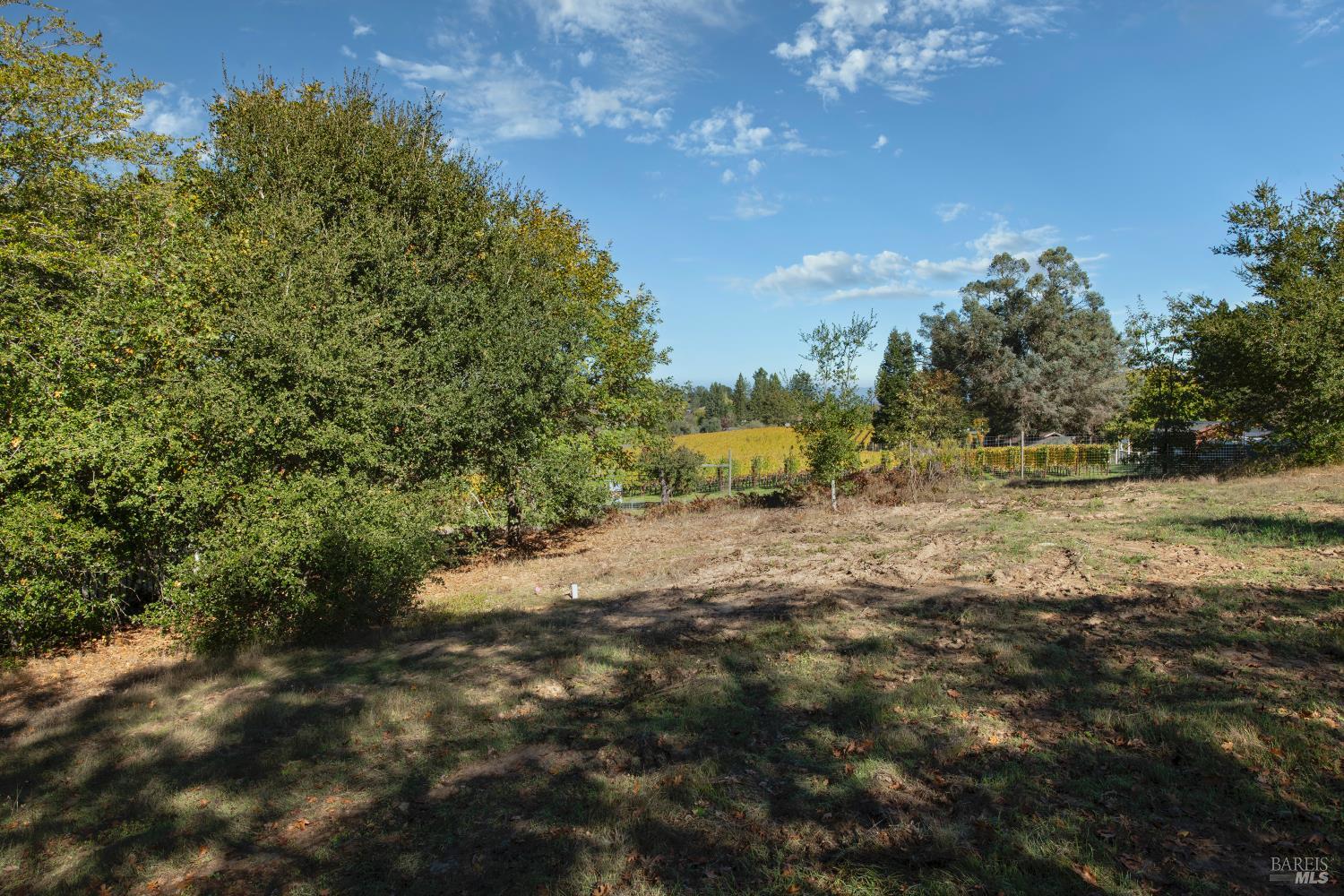0 Covey & Davis Road Forestville, CA 95436 - Photo 17 of 19 a view of a yard with a tree