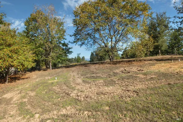 a view of a yard with a tree
