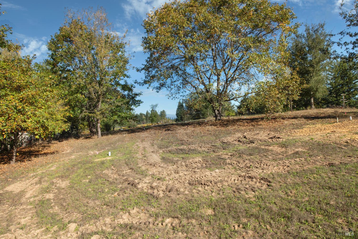 0 Covey & Davis Road Forestville, CA 95436 - Photo 18 of 19 a view of a yard with a tree