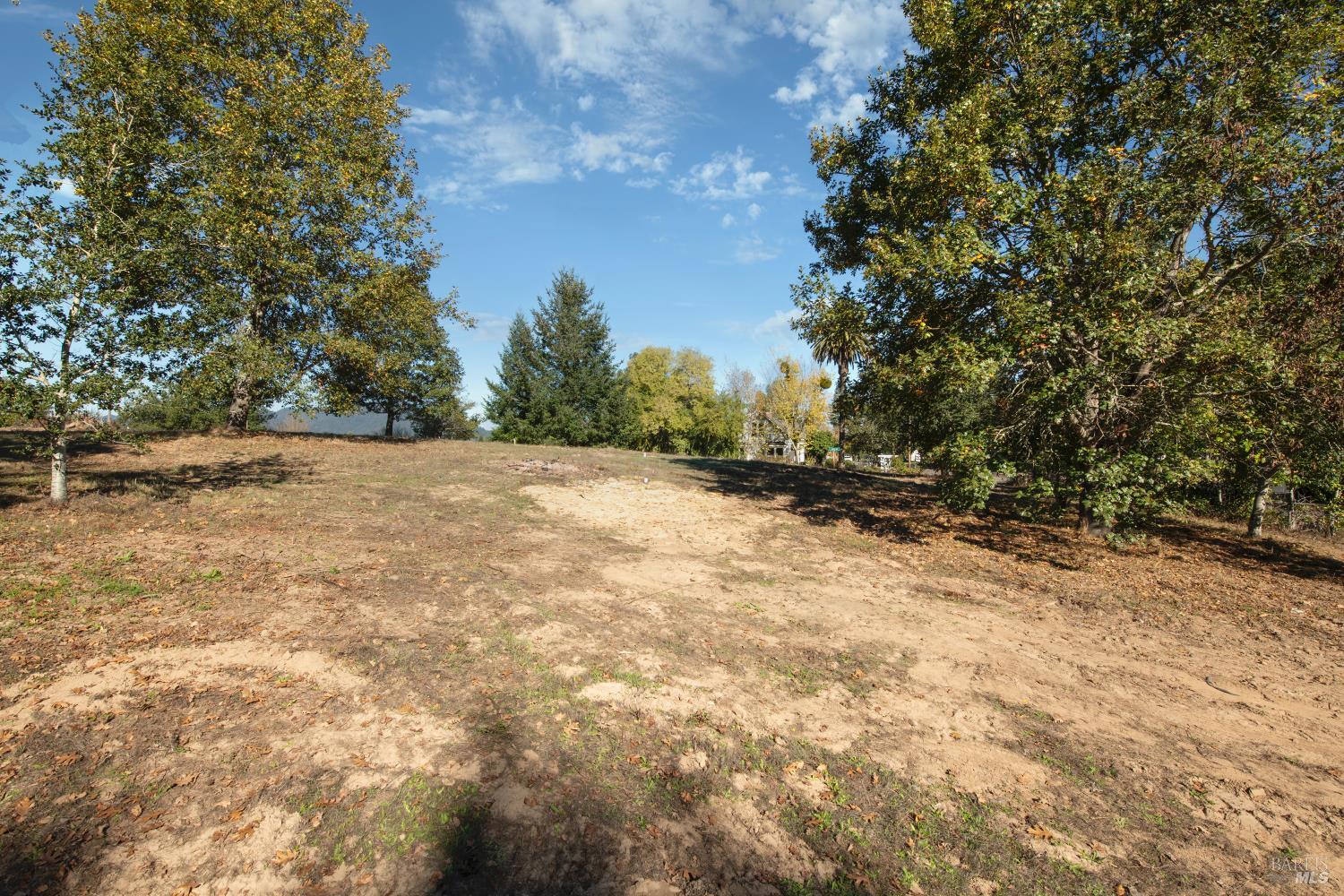 0 Covey & Davis Road Forestville, CA 95436 - Photo 19 of 19 a view of a yard with a tree