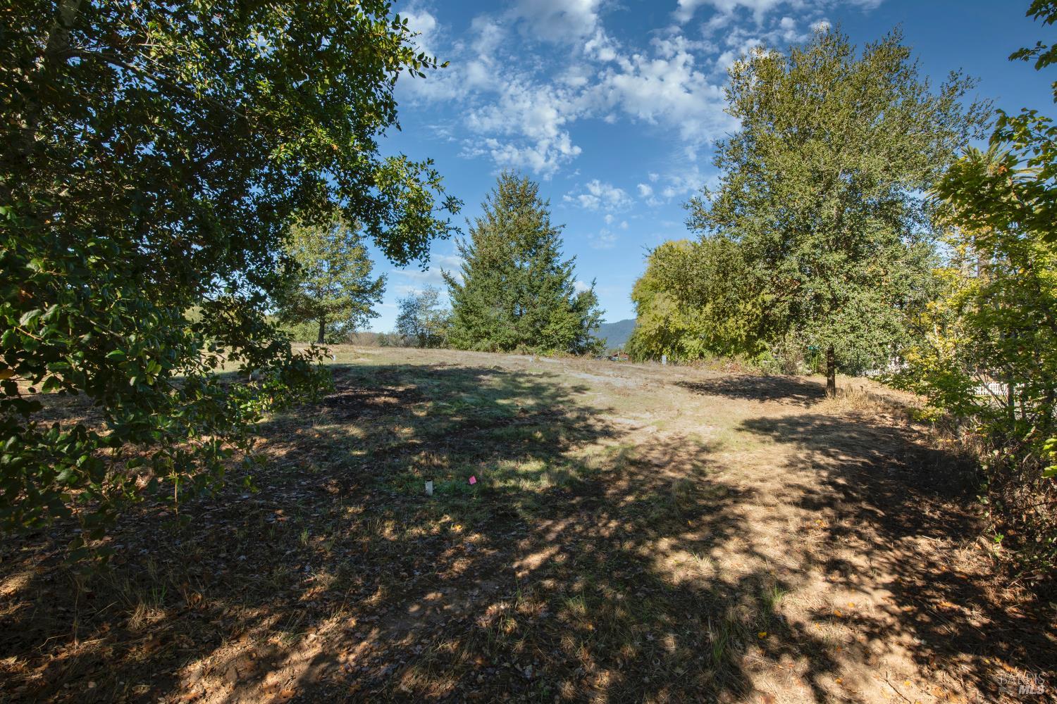 0 Covey & Davis Road Forestville, CA 95436 - Photo 6 of 19 a view of a field with trees in the background