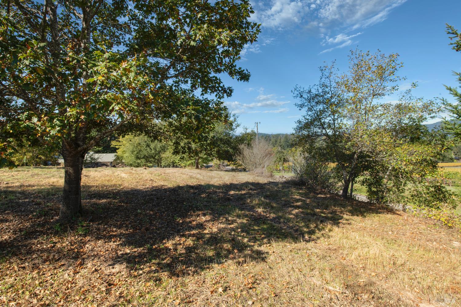 0 Covey & Davis Road Forestville, CA 95436 - Photo 7 of 19 a view of a yard with plants and trees