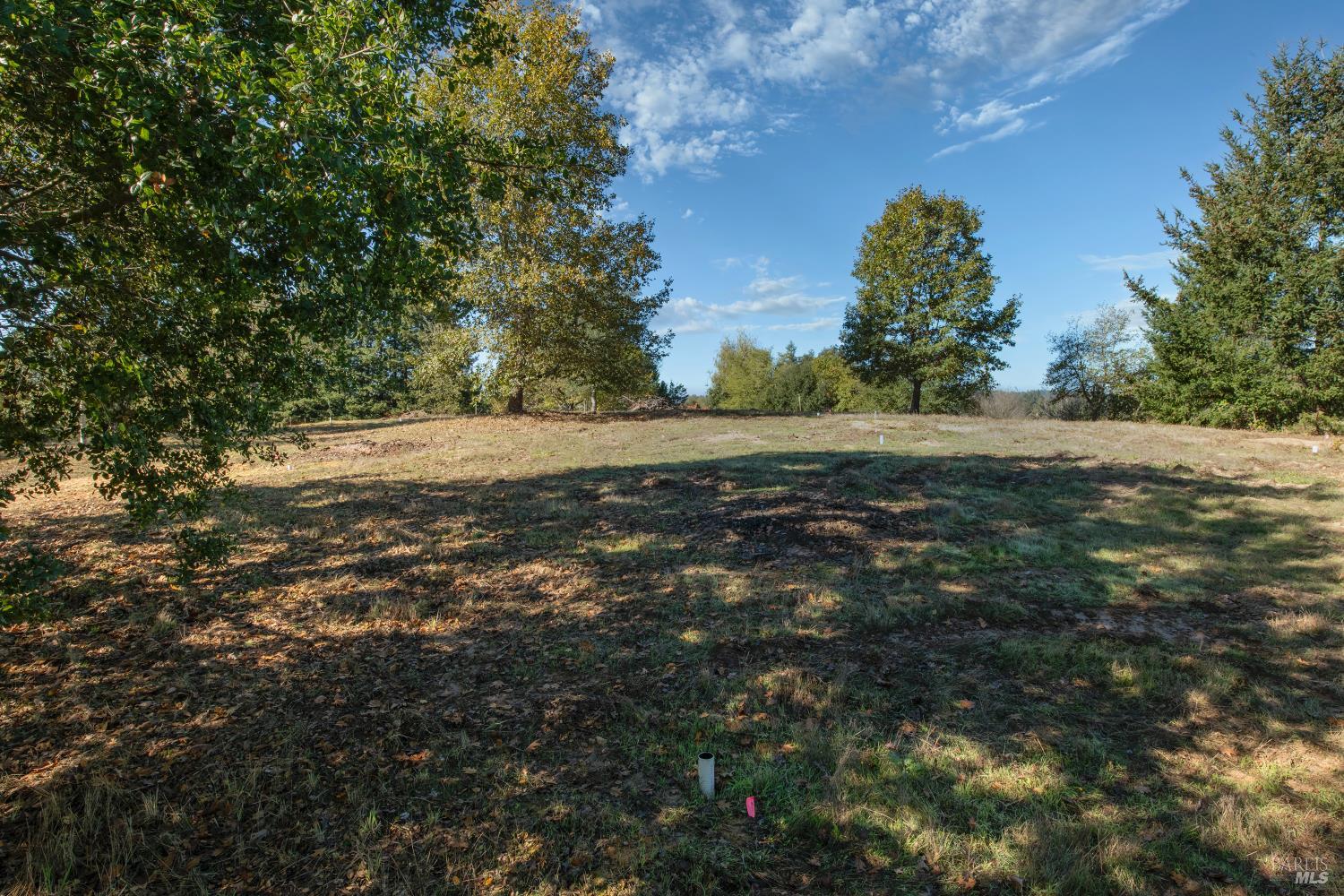 0 Covey & Davis Road Forestville, CA 95436 - Photo 10 of 19 a view of a field of grass and trees