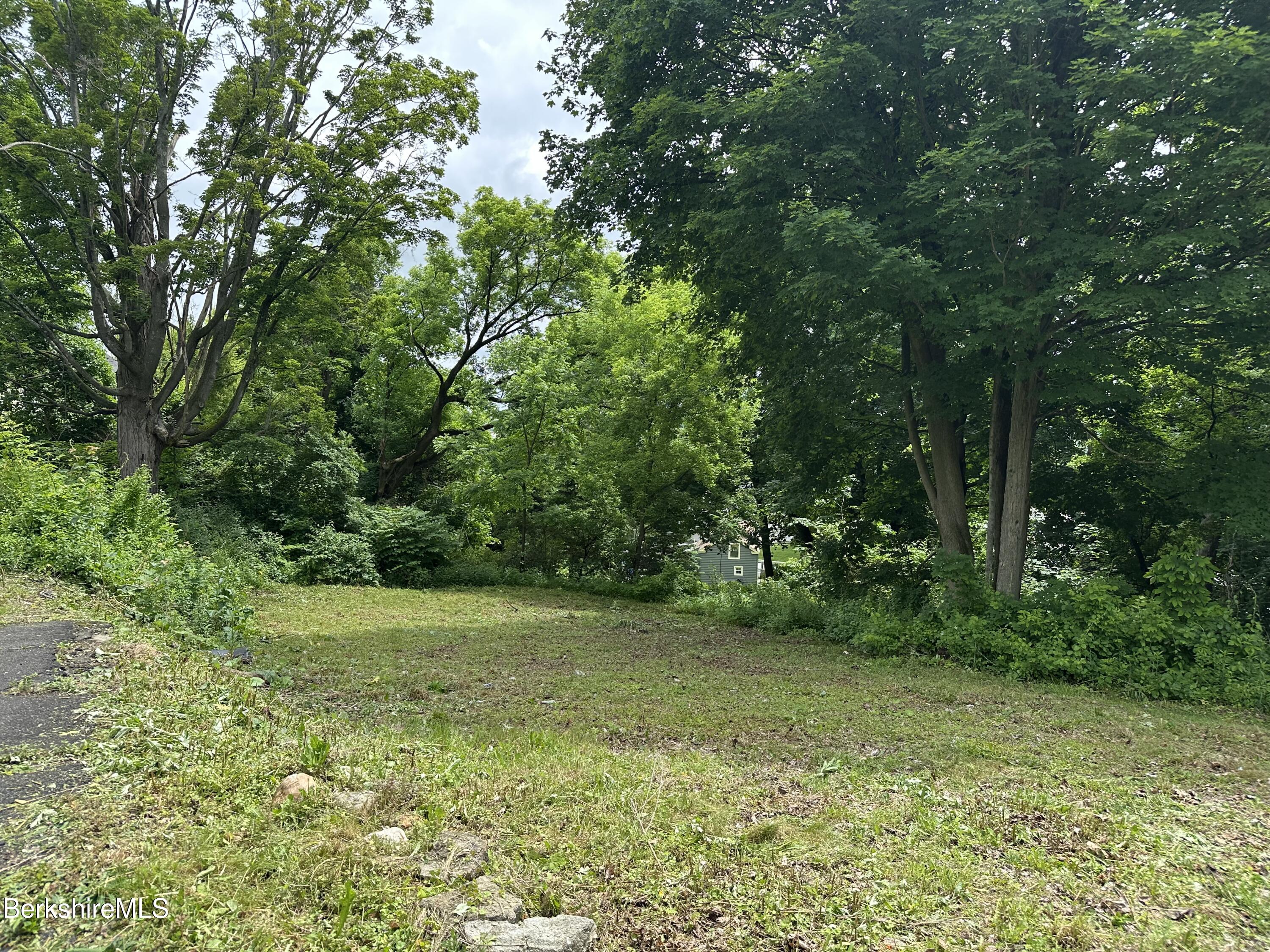 33 Circular Avenue Pittsfield, MA 01201 - Photo 1 of 5 a view of a field with a trees in the background