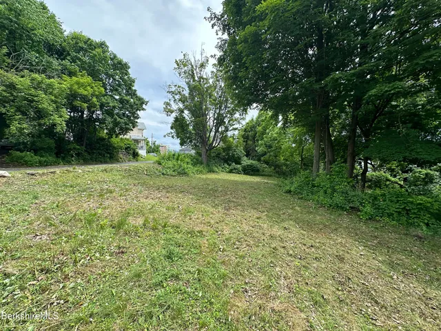 a view of a green field with lots of bushes