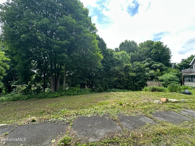 a view of backyard with green space