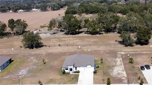 $799,999 | 10190 Dolphin Gull Circle, Thonotosassa, FL 33592