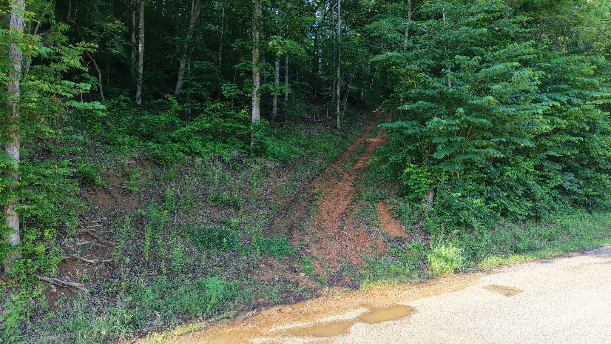 0 Gimlet Creek Road Lawrenceburg, TN 38464 - Photo 6 of 22