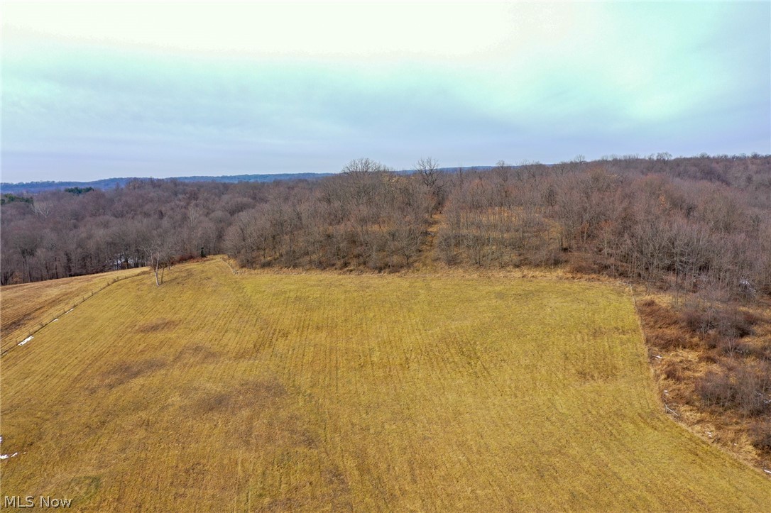 1325 County Line Road Hopewell, OH 43746 - Photo 45 of 45 View of rural area with a heavily wooded area