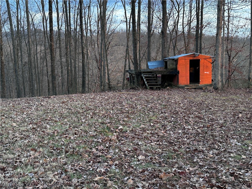 50748 Shenandoah Road Caldwell, OH 43724 - Photo 24 of 43 View of yard