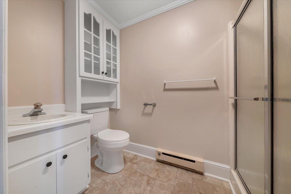 460 Thompson Ridge Road Ferrum, VA 24088 - Photo 26 of 48 a bathroom with a sink a toilet and a mirror