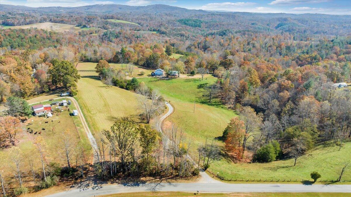 460 Thompson Ridge Road Ferrum, VA 24088 - Photo 45 of 48 a view of a city