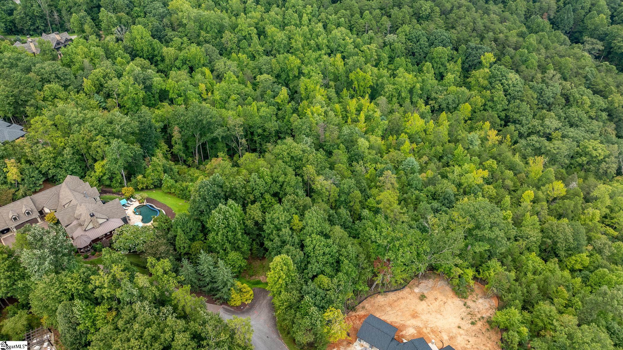 26 Crescent Pinyon Way Marietta, SC 29661 - Photo 3 of 16