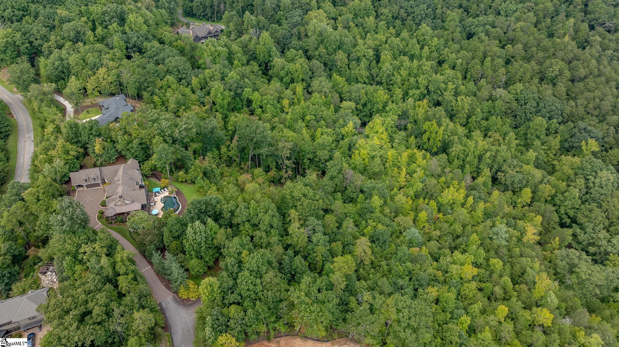 26 Crescent Pinyon Way Marietta, SC 29661 - Photo 5 of 16