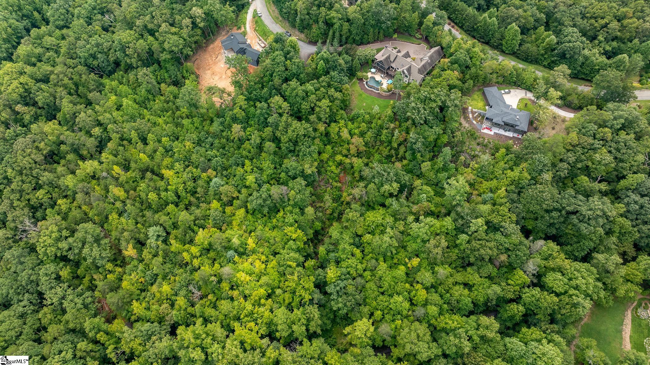 26 Crescent Pinyon Way Marietta, SC 29661 - Photo 7 of 16