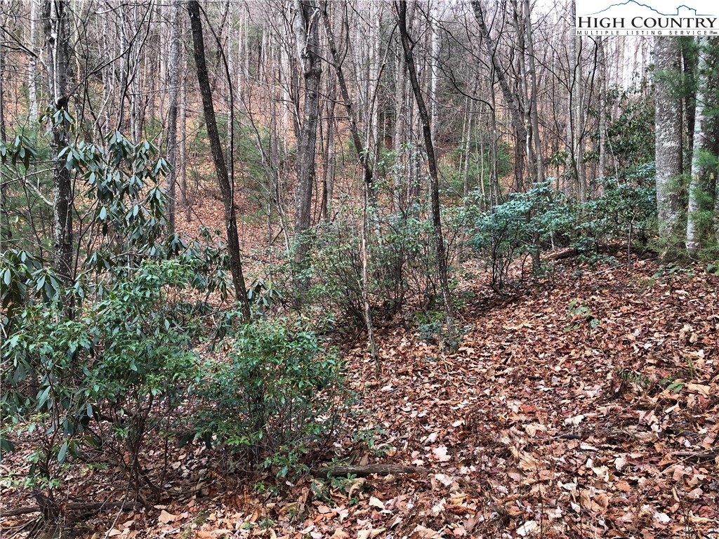 Lot 222 Casey Mountain Road Purlear, NC 28665 - Photo 15 of 50 Gallery Image 15