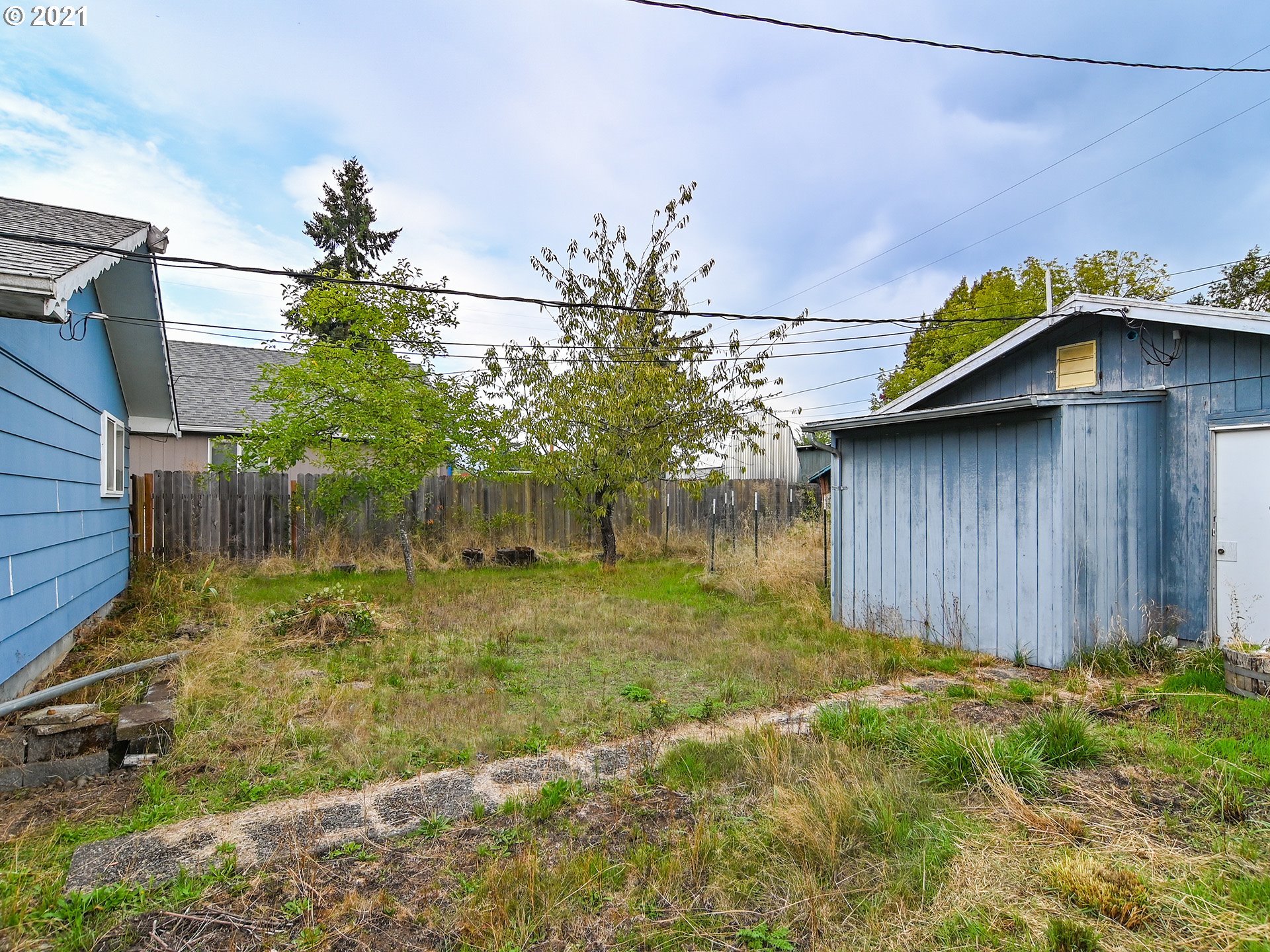 1509 6th Street Springfield, OR 97477 - Photo 25 of 30 a view of a backyard with plants and a bench