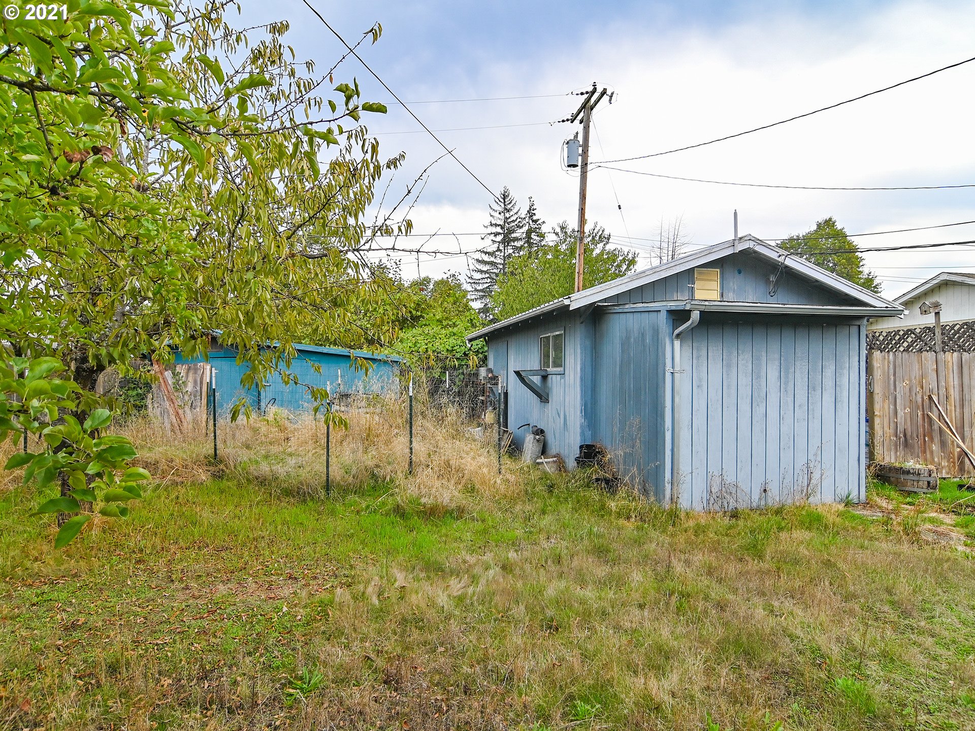 1509 6th Street Springfield, OR 97477 - Photo 26 of 30 a house that has a tree in it