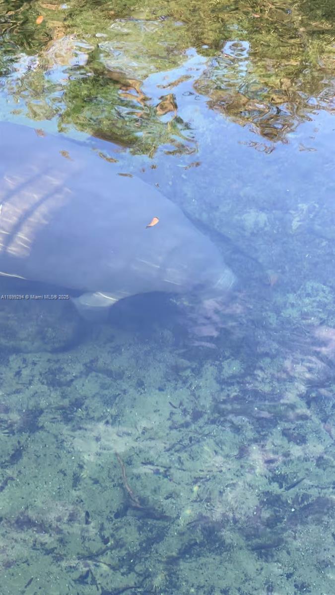 100 Morris Lane, Unit B2 Key Largo, FL 33037 - Photo 44 of 49 a view of a dry yard with wooden fence