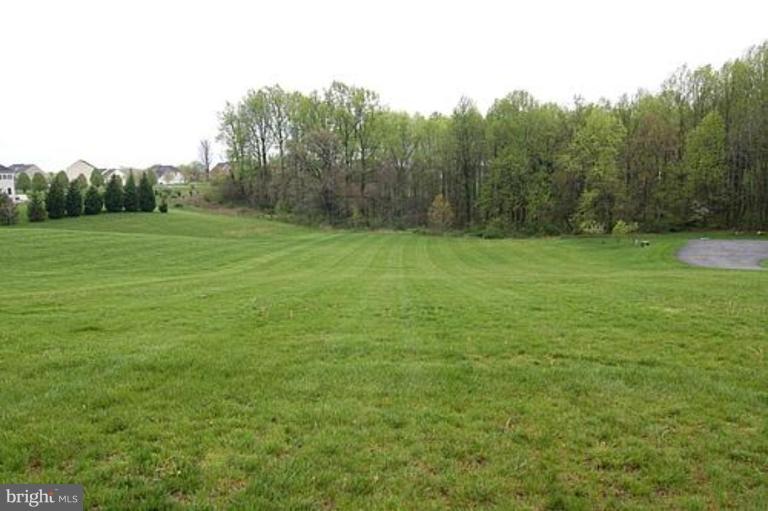12017 Open Run Road Ellicott City, MD 21042 - Photo 2 of 25 Back yard